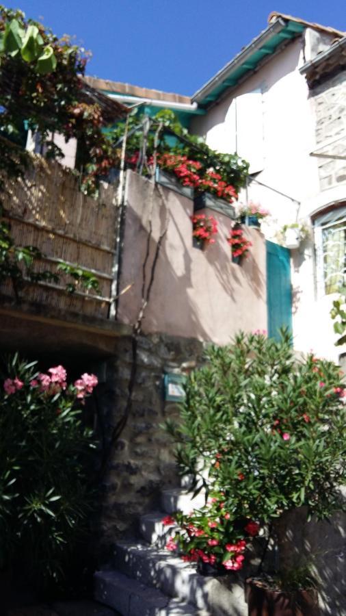 Bed and Breakfast Les Hibiscus Saint-Jean-le-Centenier Exterior foto
